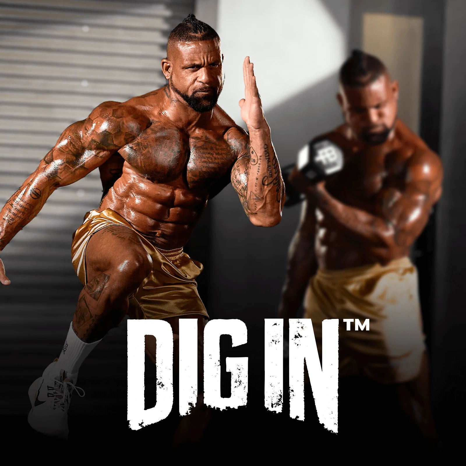 Fitness Programs